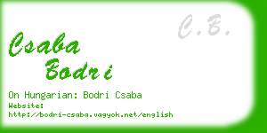 csaba bodri business card
